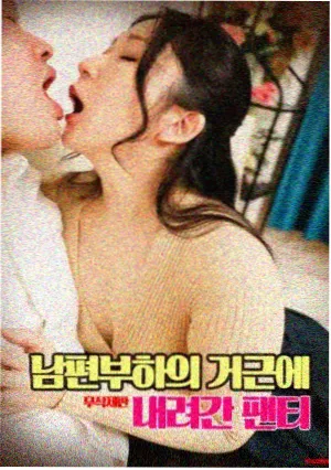 经典老片修复 茶杯狐影视